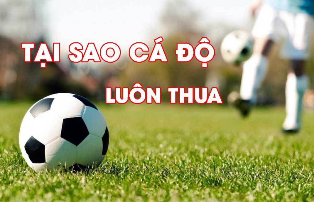 Vì sao cá độ bóng đá luôn thua? 6 lý do có thể bạn đang gặp phải